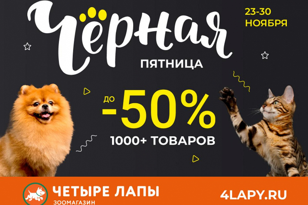 Черная пятница Четыре Лапы