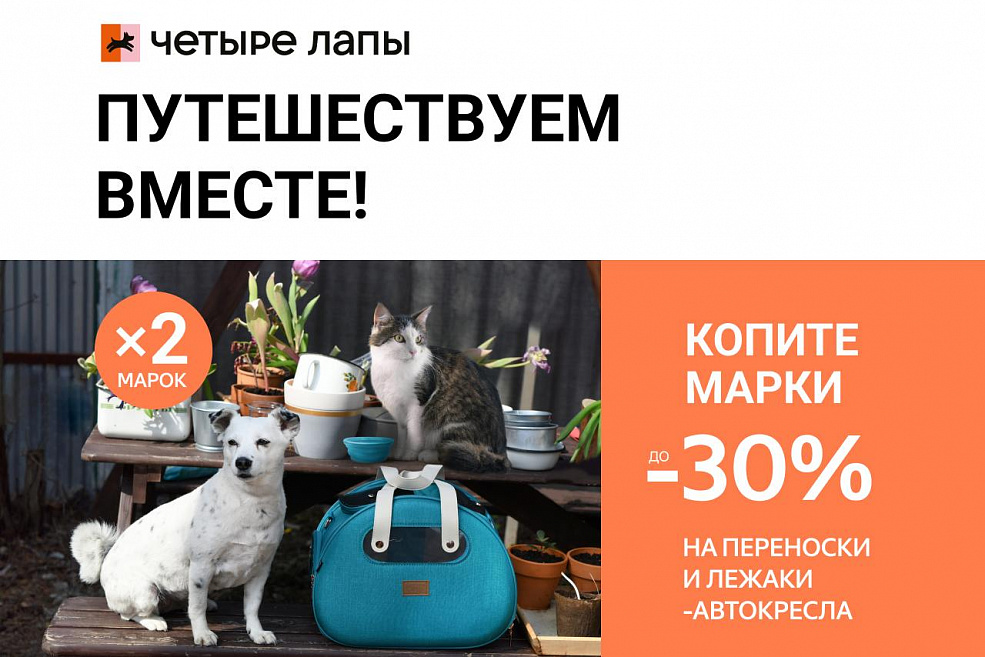 Путешествуем вместе!
