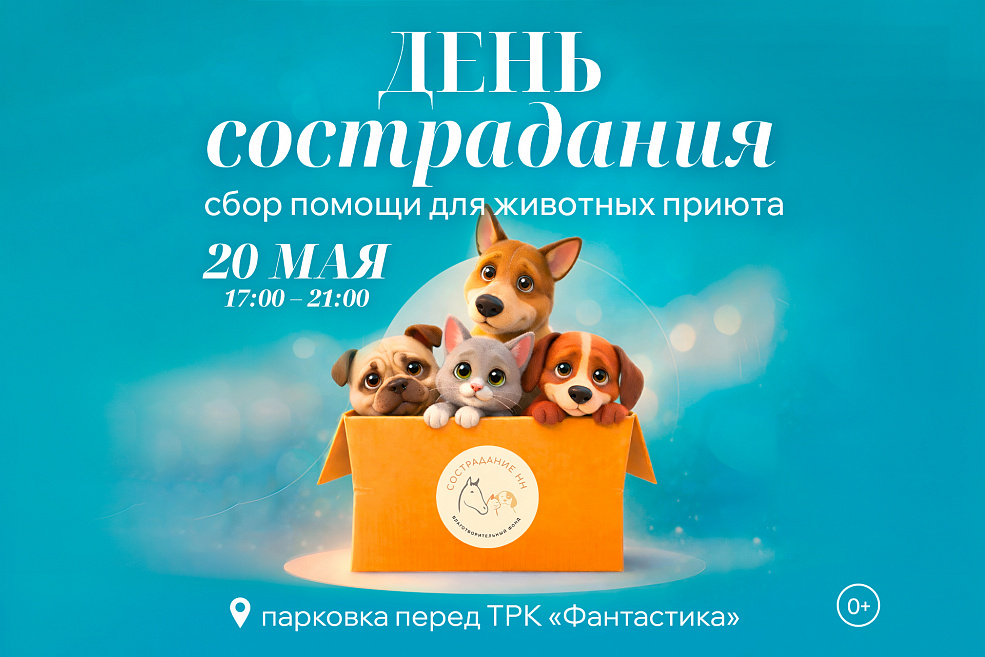 Акция «День сострадания»