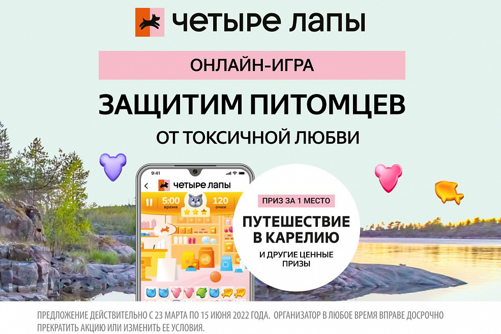 Защитим питомцев от токсичной любви